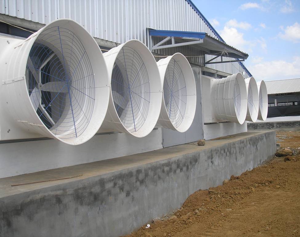 Bien-tan-cho-quat-nha-xuong